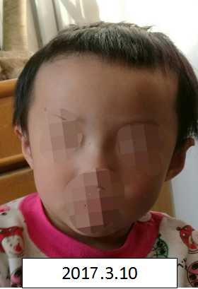 高清操无毛逼黄片